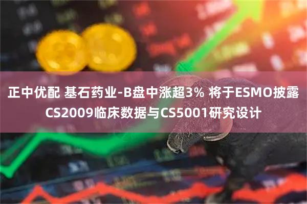 正中优配 基石药业-B盘中涨超3% 将于ESMO披露CS2009临床数据与CS5001研究设计