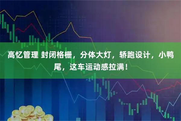 高忆管理 封闭格栅，分体大灯，轿跑设计，小鸭尾，这车运动感拉满！