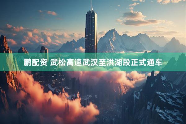 鹏配资 武松高速武汉至洪湖段正式通车