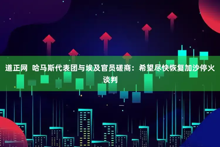 道正网  哈马斯代表团与埃及官员磋商：希望尽快恢复加沙停火谈判