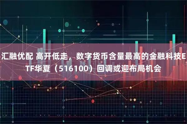 汇融优配 高开低走，数字货币含量最高的金融科技ETF华夏（516100）回调或迎布局机会