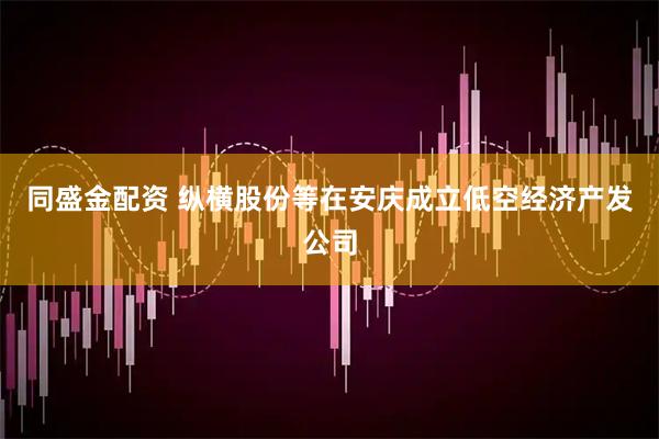 同盛金配资 纵横股份等在安庆成立低空经济产发公司